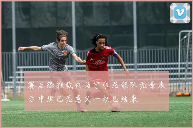 赛后怒推裁判马宁印尼领队无奈表示申诉已无意义一切已结束