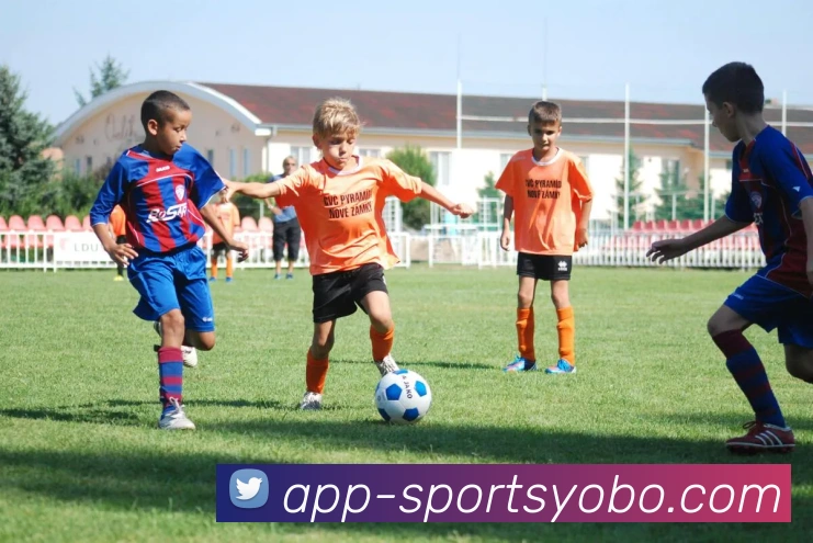 yobo体育发展历程